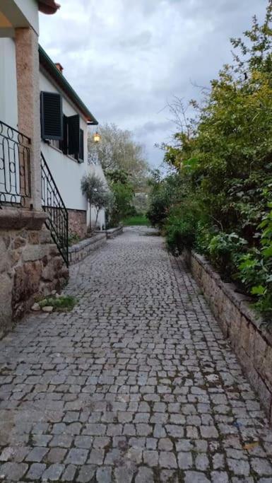 Quinta Da Barbosa Villa Folgosinho Exterior foto